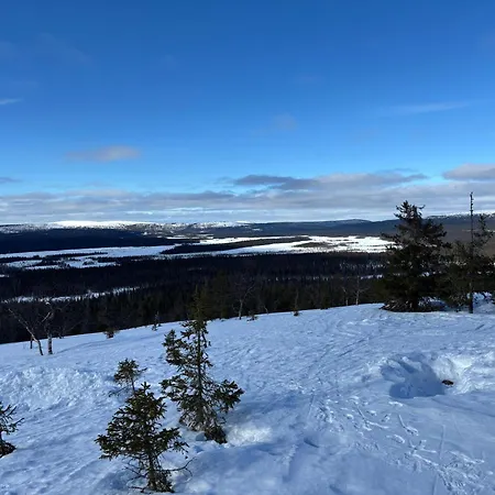 Pitkaekuusen Moekki * Äkäslompolo