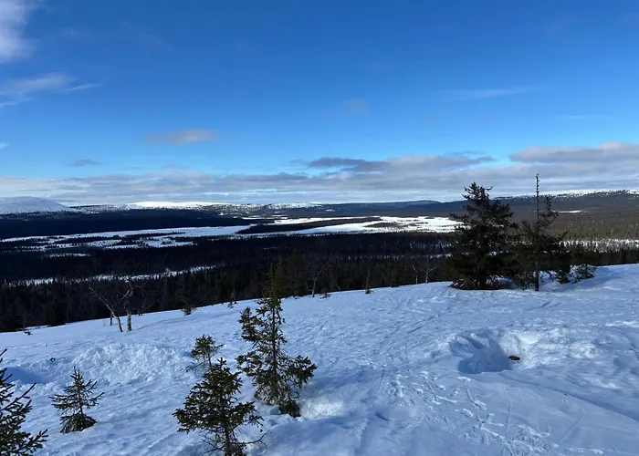 Pitkaekuusen Moekki * Äkäslompolo